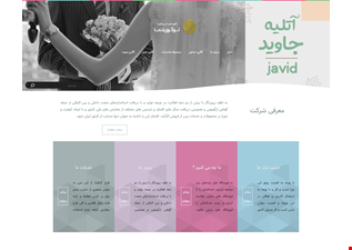 سایت شرکتی جاوید