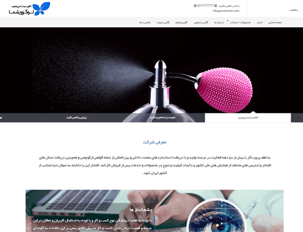طراحی سایت شرکتی با قالب جدید آریا