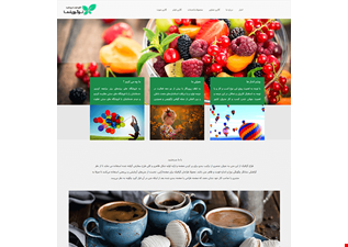 سایت شرکتی نسیم